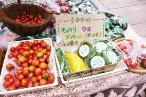 �摜(300x200)�E�g��摜(354x236)