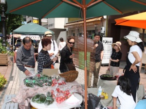 �摜(300x225)�E�g��摜(334x251)