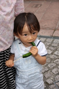 �摜(200x300)�E�g��摜(236x354)