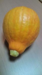 画像(166x300)・拡大画像(355x640)