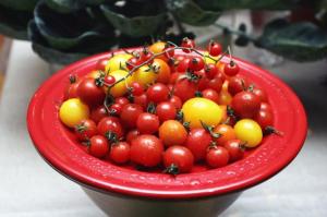 画像(300x199)・拡大画像(640x426)