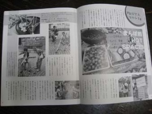 画像(300x225)・拡大画像(340x255)