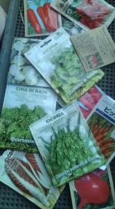 �摜(166x300)�E�g��摜(355x640)