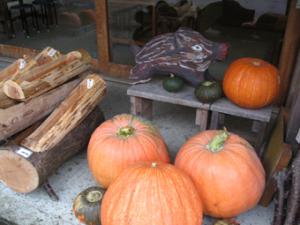 �摜(300x225)�E�g��摜(340x255)