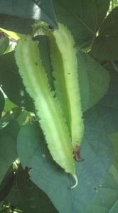 �摜(166x300)�E�g��摜(355x640)