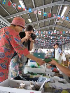 �摜(225x300)�E�g��摜(255x340)