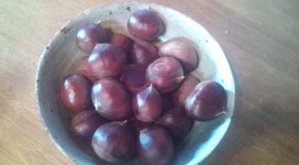 �摜(435x241)�E�g��摜(640x355)