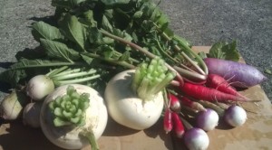 �摜(300x166)�E�g��摜(640x355)