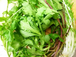 �摜(300x225)�E�g��摜(480x360)