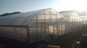 �摜(300x166)�E�g��摜(640x355)