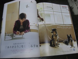 �摜(300x225)�E�g��摜(340x255)