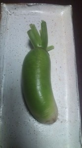 �摜(166x300)�E�g��摜(355x640)