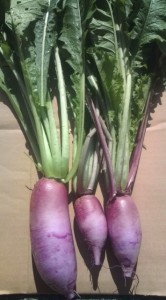 画像(166x300)・拡大画像(355x640)