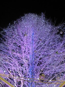 画像(225x300)・拡大画像(255x340)