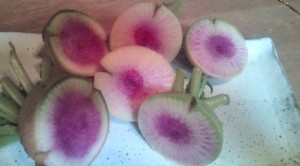 画像(300x166)・拡大画像(640x355)