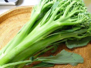 �摜(300x225)�E�g��摜(480x360)