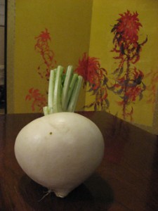 画像(225x300)・拡大画像(255x340)