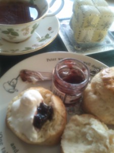 �摜(225x300)�E�g��摜(255x340)