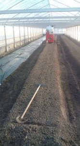 �摜(166x300)�E�g��摜(355x640)