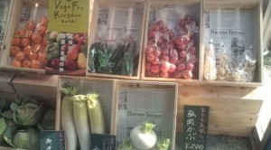 �摜(300x166)�E�g��摜(640x355)