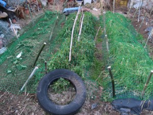 �摜(300x225)�E�g��摜(340x255)