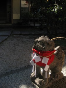 �摜(225x300)�E�g��摜(255x340)