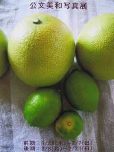 �摜(224x300)�E�g��摜(276x369)