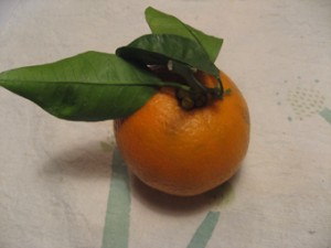 �摜(300x225)�E�g��摜(340x255)