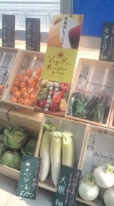 �摜(166x300)�E�g��摜(355x640)