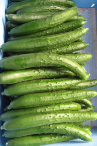 �摜(200x300)�E�g��摜(239x357)