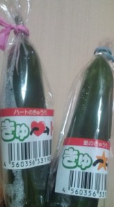 �摜(166x300)�E�g��摜(355x640)