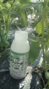 �摜(166x300)�E�g��摜(355x640)