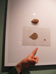 �摜(225x300)�E�g��摜(255x340)