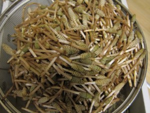 �摜(300x225)�E�g��摜(640x480)