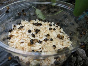 �摜(300x225)�E�g��摜(640x480)