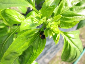 �摜(300x225)�E�g��摜(640x480)