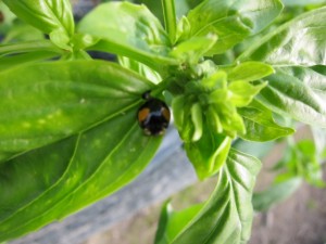 �摜(300x225)�E�g��摜(640x480)