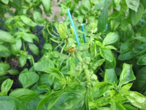 �摜(300x225)�E�g��摜(640x480)