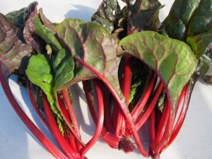 �摜(300x225)�E�g��摜(640x480)