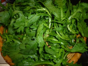 �摜(300x225)�E�g��摜(480x360)