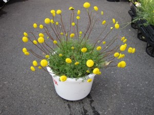 �摜(300x225)�E�g��摜(640x480)