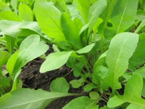 �摜(300x225)�E�g��摜(640x480)