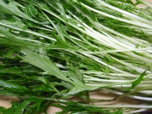 �摜(300x225)�E�g��摜(480x360)