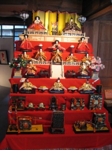 �摜(225x300)�E�g��摜(255x340)