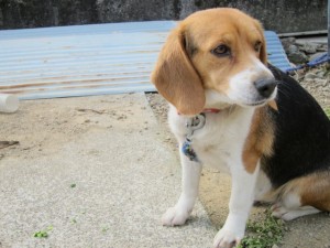 �摜(300x225)�E�g��摜(640x480)