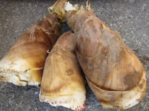 �摜(300x225)�E�g��摜(640x480)