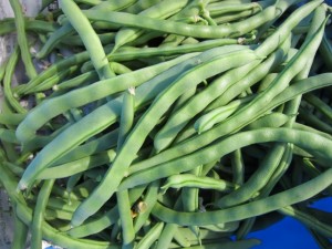 �摜(300x225)�E�g��摜(640x480)