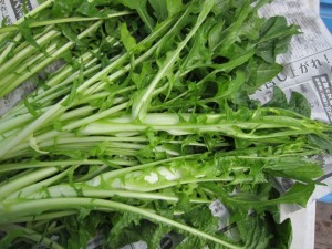 �摜(300x225)�E�g��摜(640x480)