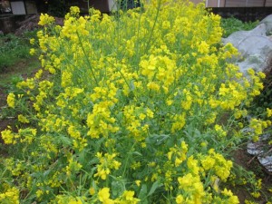 �摜(300x225)�E�g��摜(640x480)