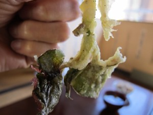 �摜(300x225)�E�g��摜(640x480)